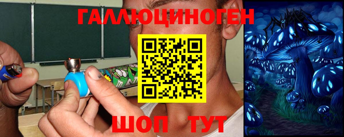 Белая Калитва  Псилоцибиновые грибы Cubensis  Вход с VPN 